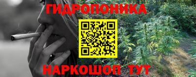 твердый Будённовск