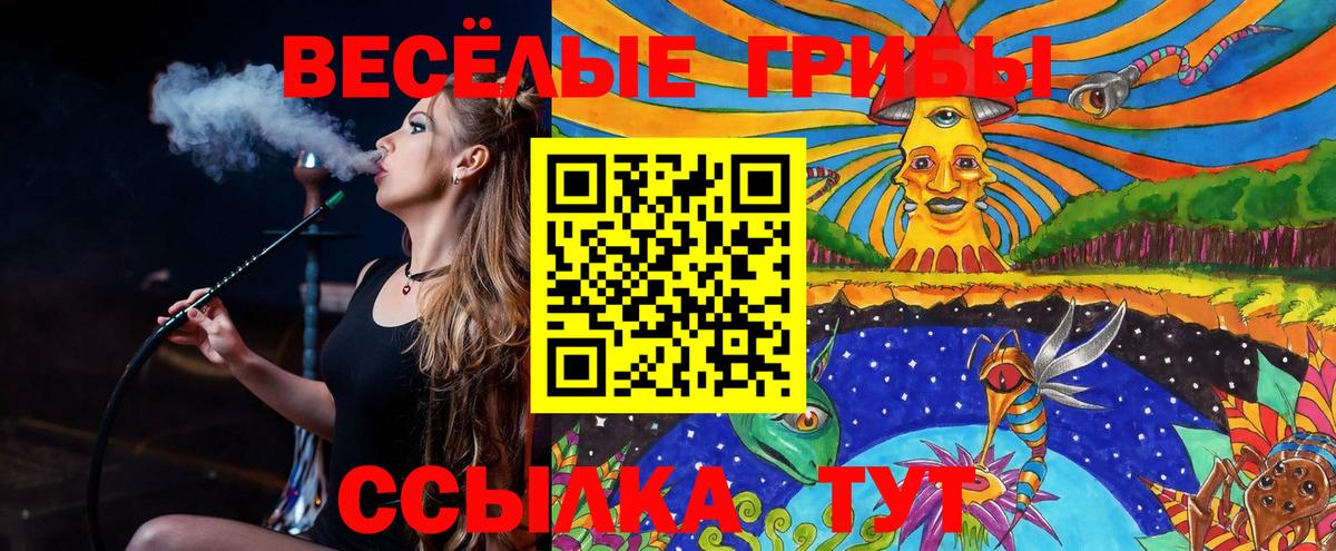 Сарапул  Псилоцибиновые грибы MAGIC MUSHROOMS  Вход с VPN 