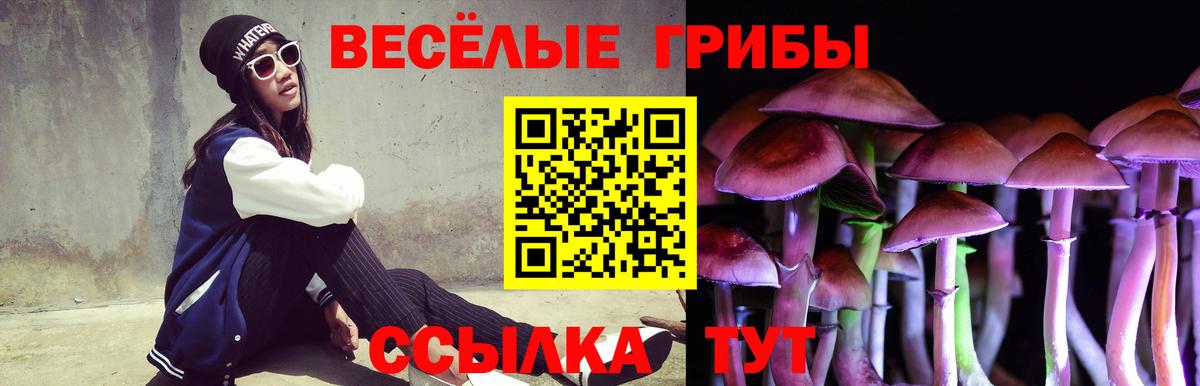 Псилоцибиновые грибы мицелий Сарапул